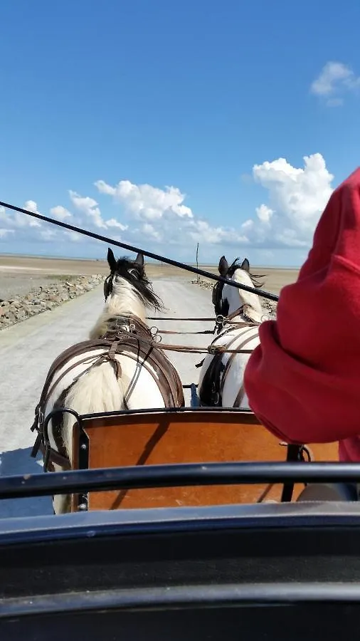 Les Chevaux De L'Hippocampe Hotel Mont-Dol 0*,  France