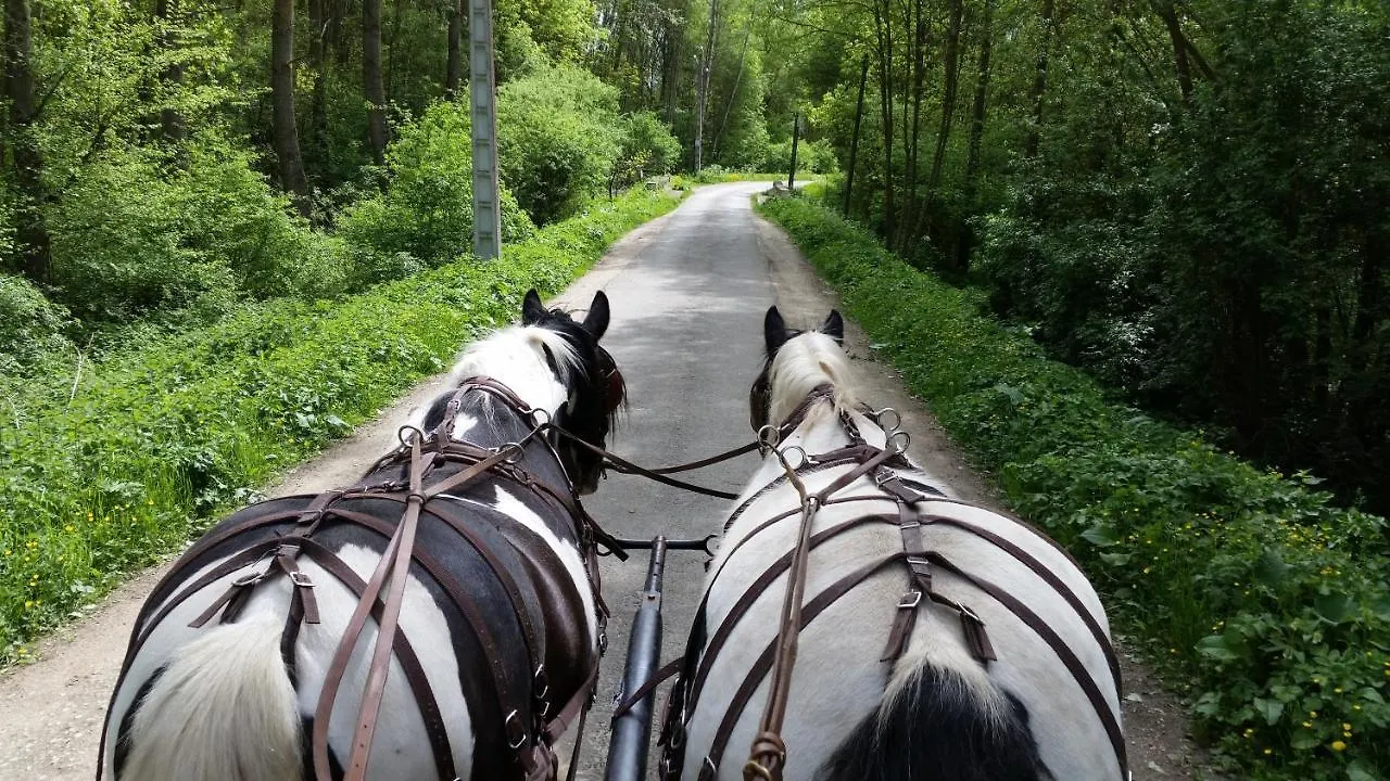 Guest house Les Chevaux De L'Hippocampe Hotel Mont-Dol France